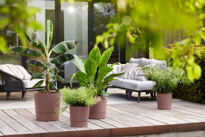 greensense aqua care round 30cm clay brown